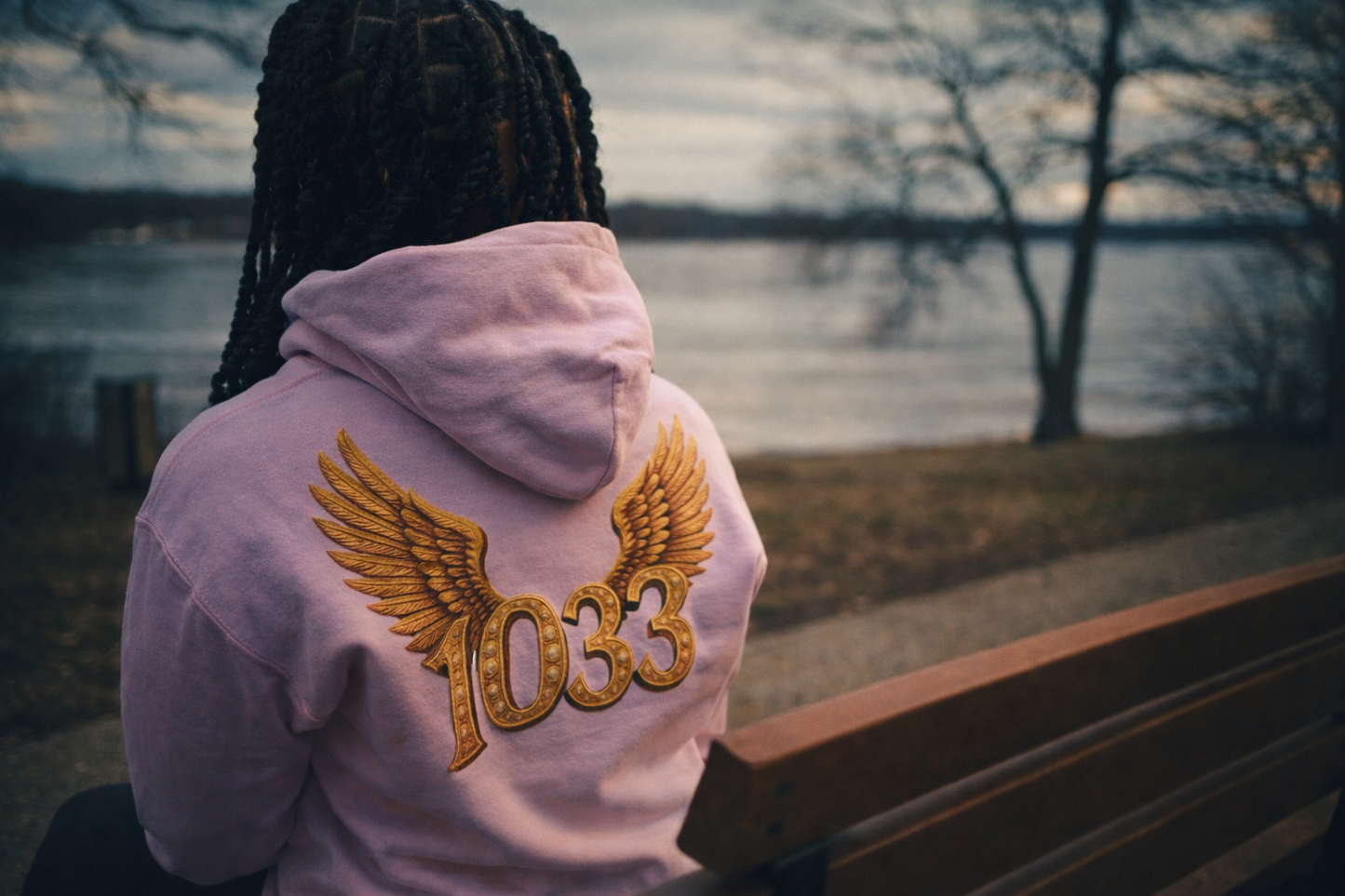 Jesus Hoodie (Pink)